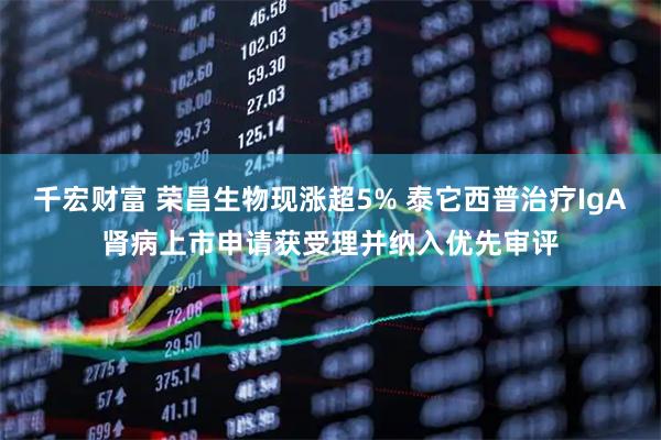 千宏财富 荣昌生物现涨超5% 泰它西普治疗IgA肾病上市申请获受理并纳入优先审评