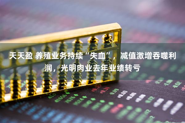 天天盈 养殖业务持续“失血”，减值激增吞噬利润，光明肉业去年业绩转亏