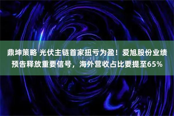 鼎坤策略 光伏主链首家扭亏为盈！爱旭股份业绩预告释放重要信号，海外营收占比要提至65%
